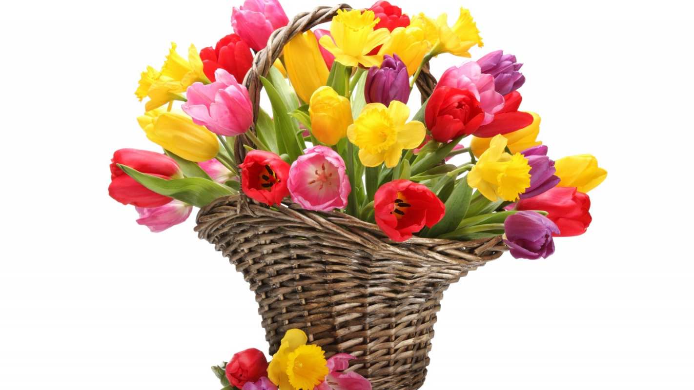 Открытка тюльпаны в корзине  с днем бухгалтера  З днем ​​бухгалтера 