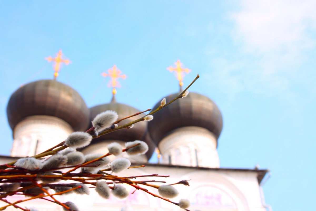 Открытка верба на фоне куполов  верба  З вербною неділею 