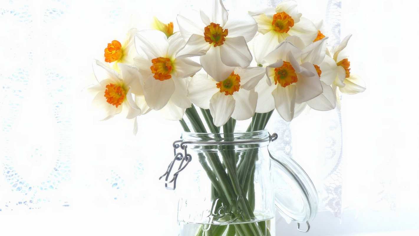 Открытка цветы в банке  с днем бухгалтера  З днем ​​бухгалтера 