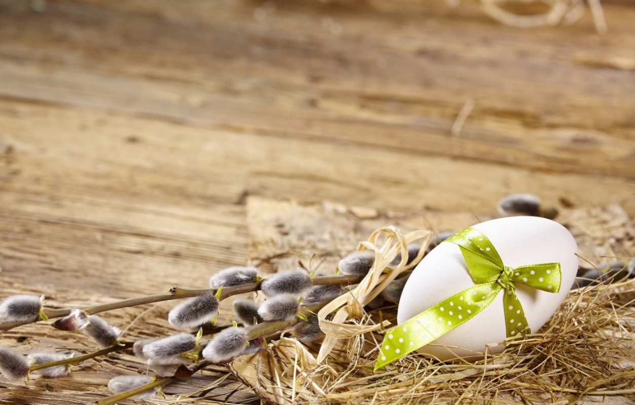 Открытка верба и яйцо с лентой  верба  З вербною неділею 