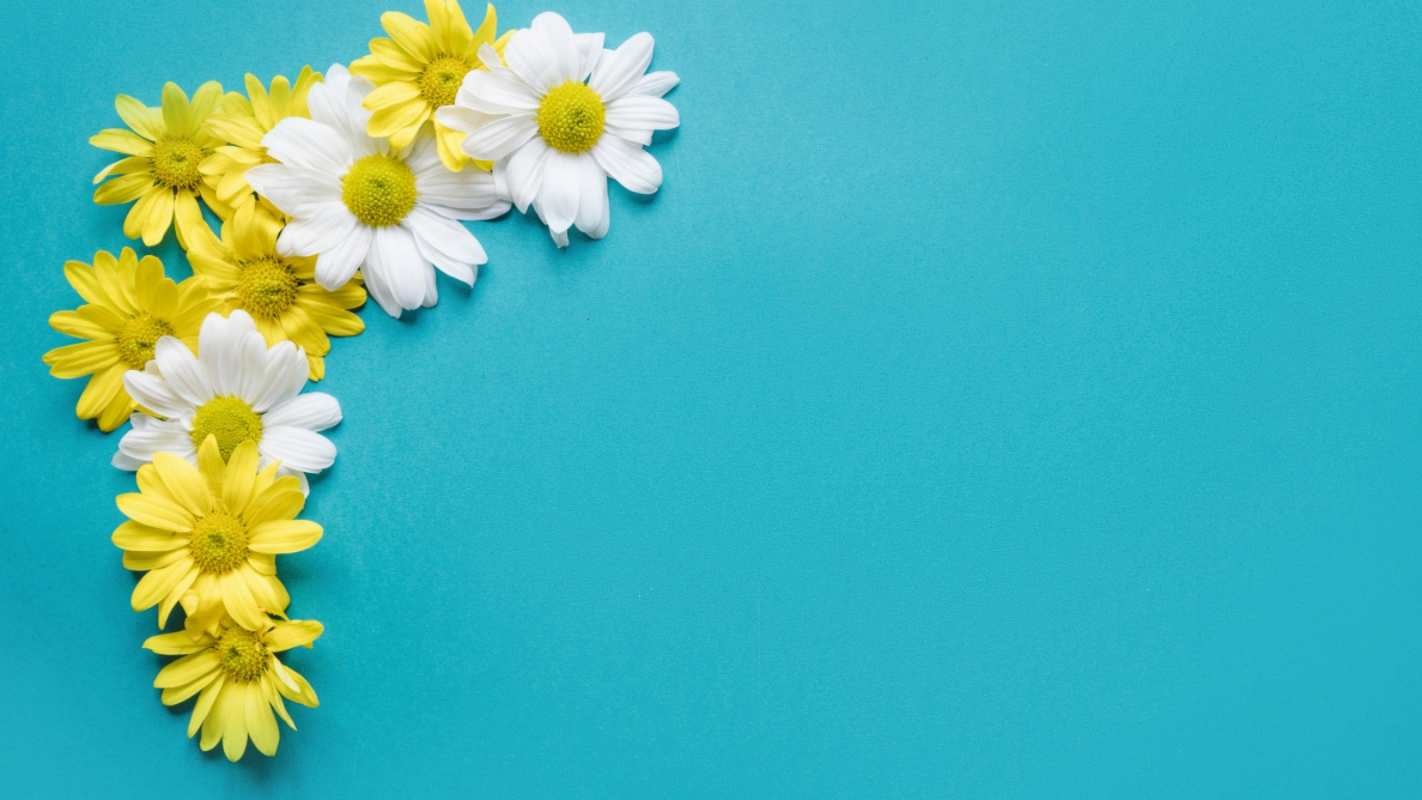 Открытка рамочка из ромашек  с днем семьи   С днем семьи 