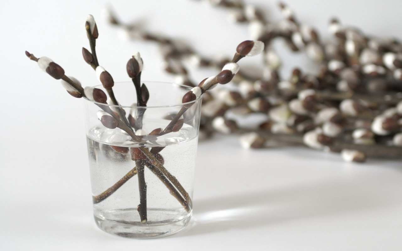 Открытка верба в стакане  верба  З вербною неділею 