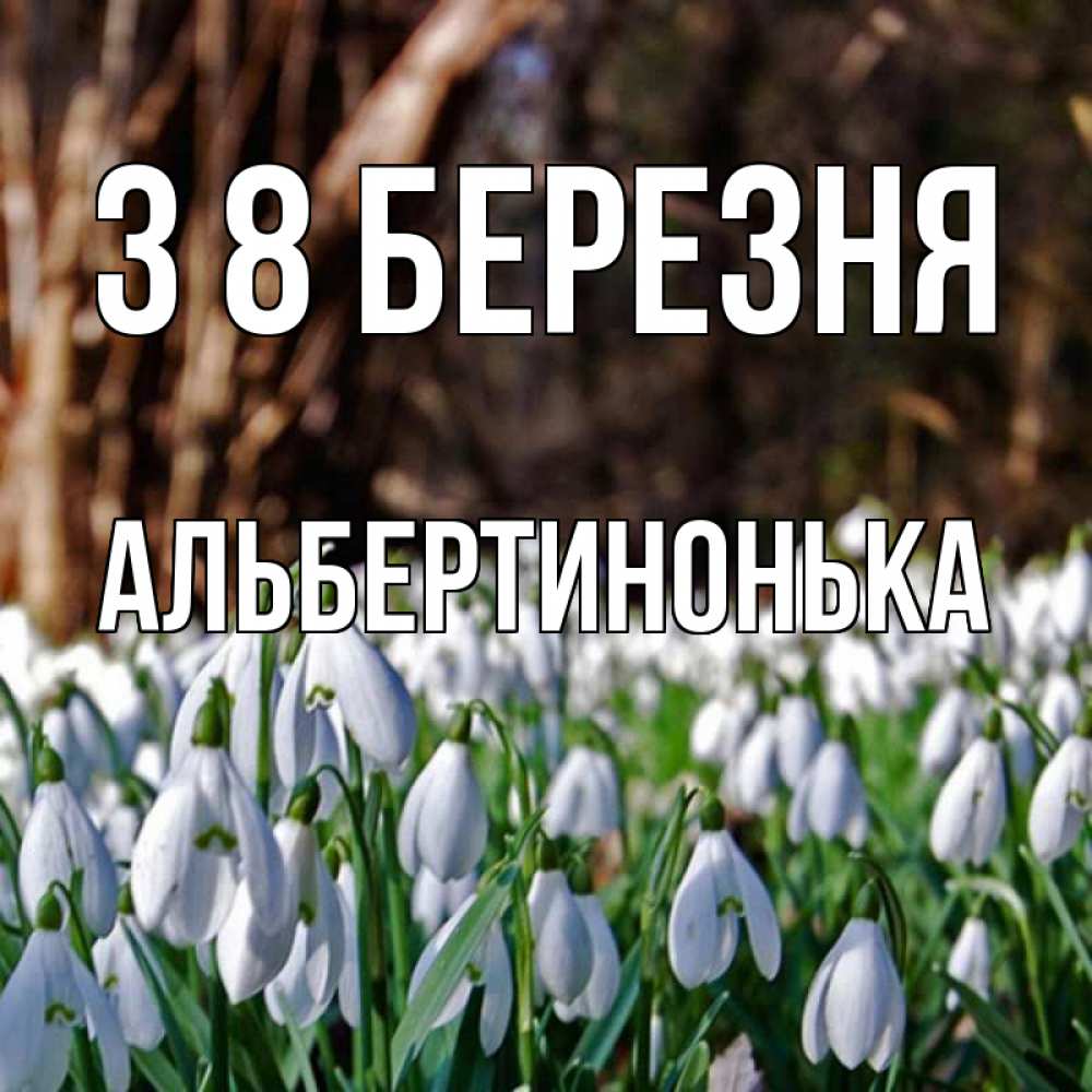 Открытка на каждый день з підписом, Альбертинонька З 8 БЕРЕЗНЯ с подснежниками 1 Прикольна листівка з побажанням онлайн скачати безкоштовно 