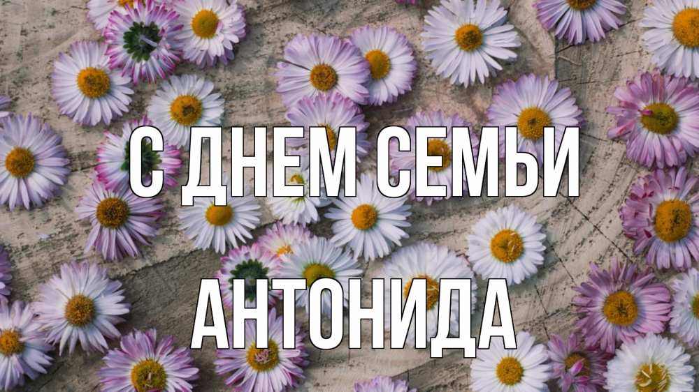 Открытка на каждый день з підписом, Антонида С днем семьи с днем семьи Прикольна листівка з побажанням онлайн скачати безкоштовно 