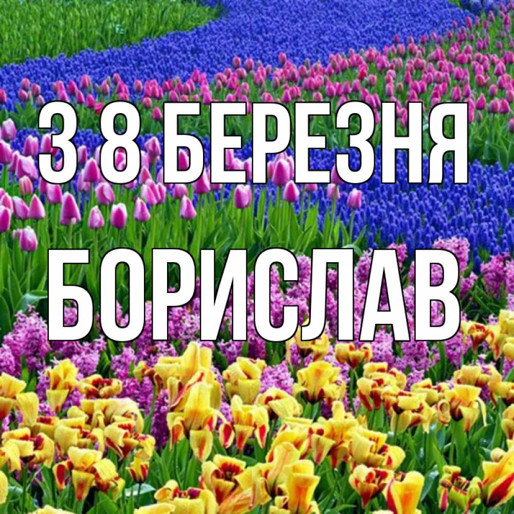 Открытка на каждый день з підписом, Борислав З 8 БЕРЕЗНЯ цветы Прикольна листівка з побажанням онлайн скачати безкоштовно 