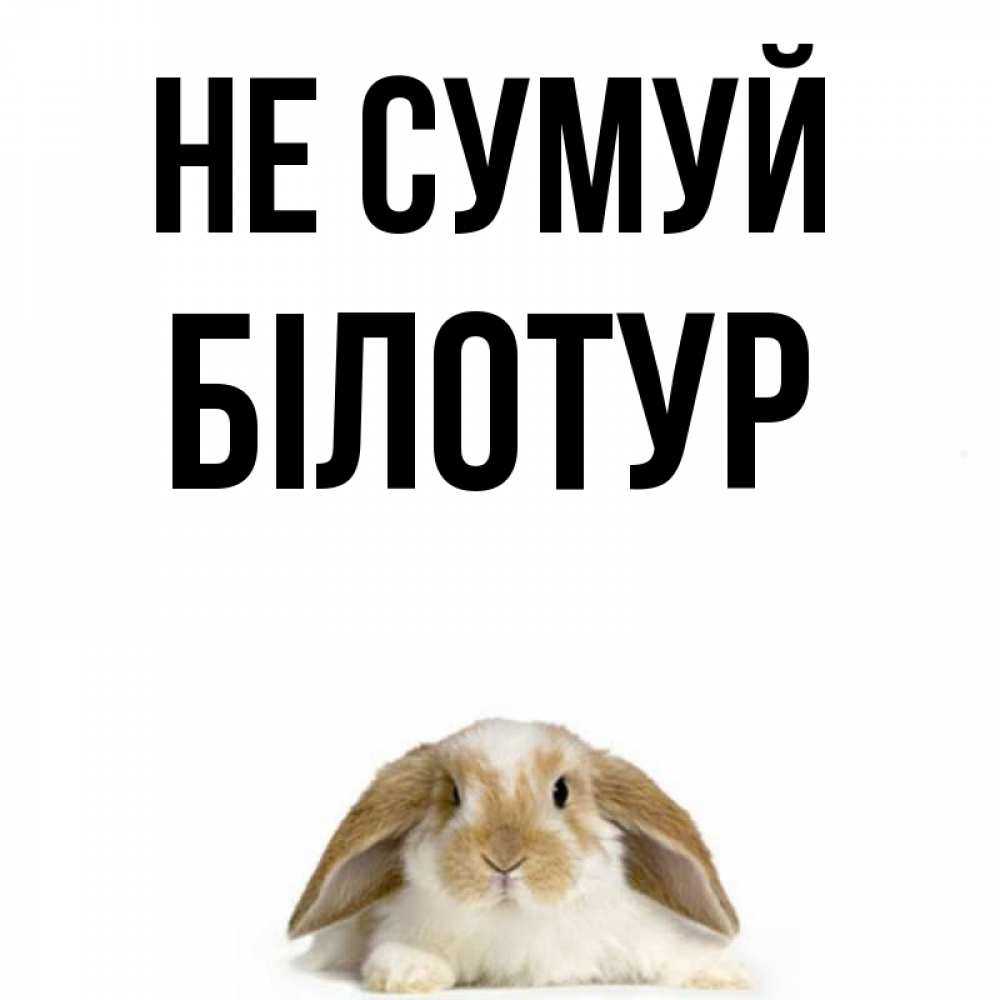 Открытка на каждый день з підписом, Білотур Не сумуй коричнево белый заяц с большими ушками Прикольна листівка з побажанням онлайн скачати безкоштовно 