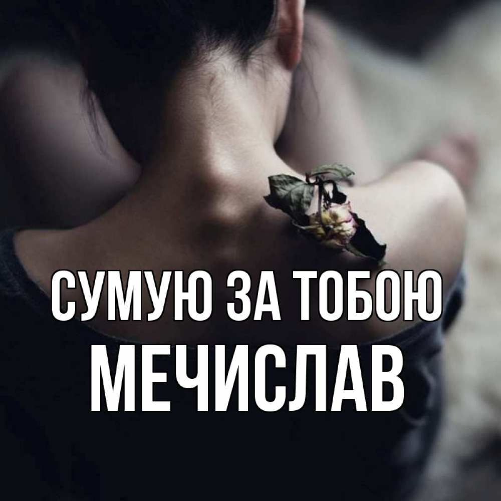 Открытка на каждый день з підписом, Мечислав Сумую за тобою засох цветок Прикольна листівка з побажанням онлайн скачати безкоштовно 