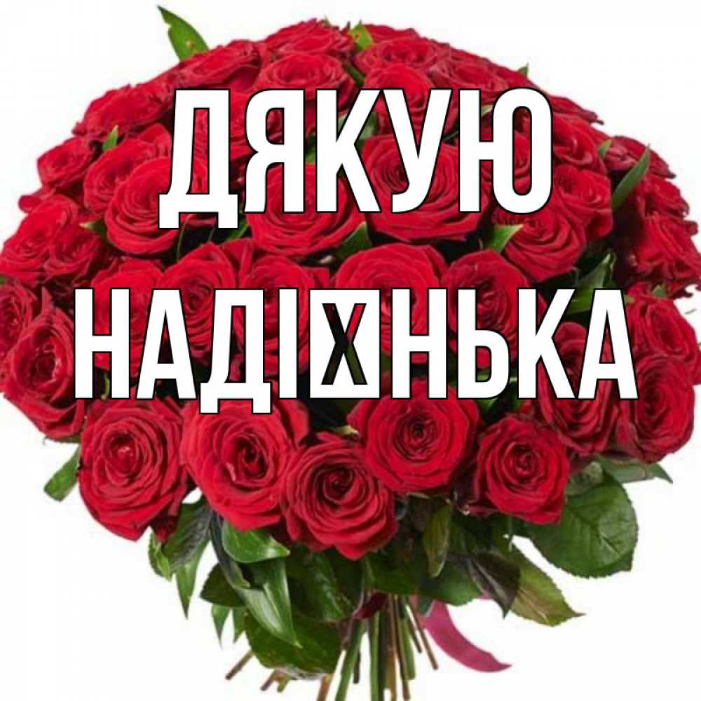Открытка на каждый день з підписом, Надієнька Дякую букет красных роз Прикольна листівка з побажанням онлайн скачати безкоштовно 
