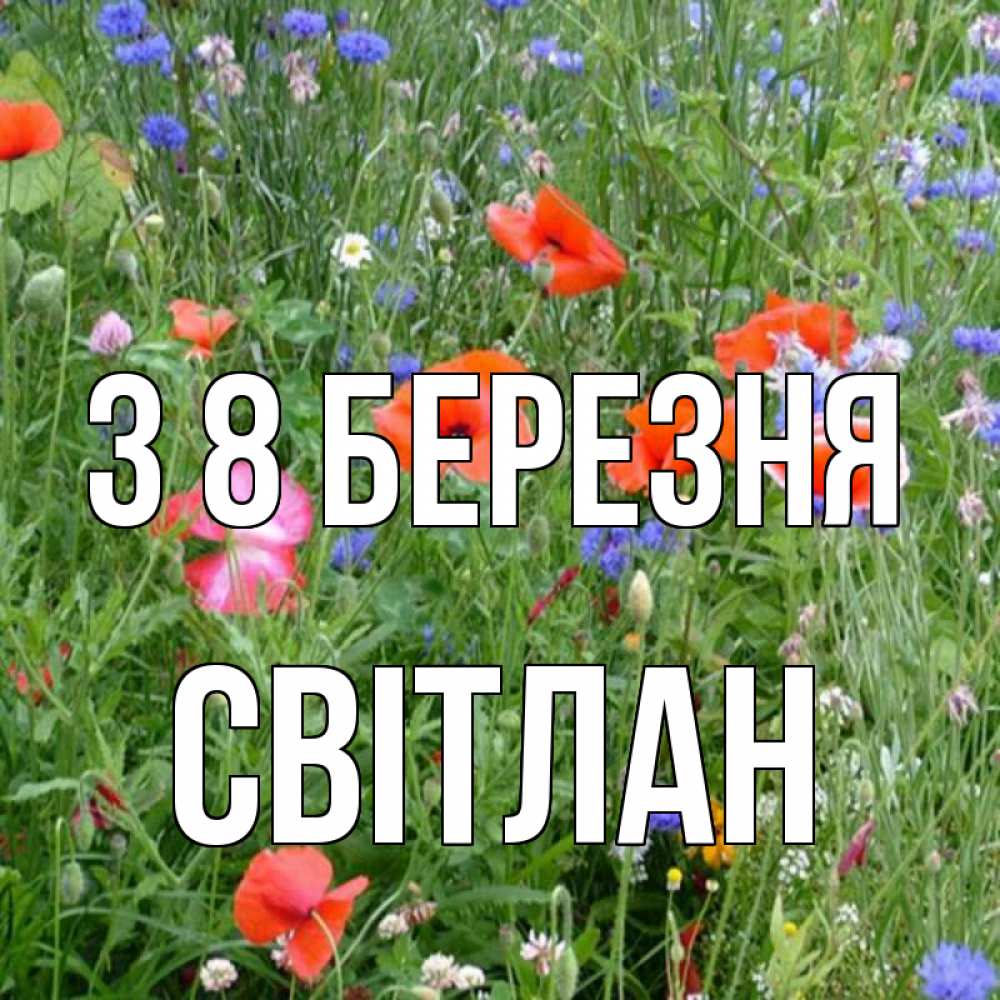 Открытка на каждый день з підписом, Світлан З 8 БЕРЕЗНЯ международный женский день 4 Прикольна листівка з побажанням онлайн скачати безкоштовно 