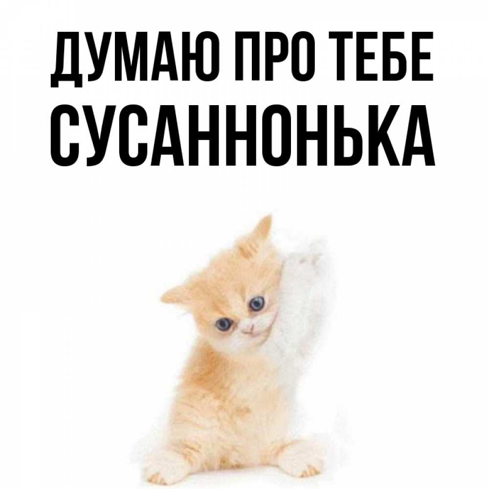 Открытка на каждый день з підписом, Сусаннонька Думаю про тебе зверушки и милота Прикольна листівка з побажанням онлайн скачати безкоштовно 