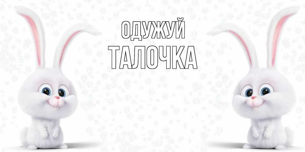 Открытка на каждый день з підписом, Талочка Одужуй не болей с зайцем Прикольна листівка з побажанням онлайн скачати безкоштовно 