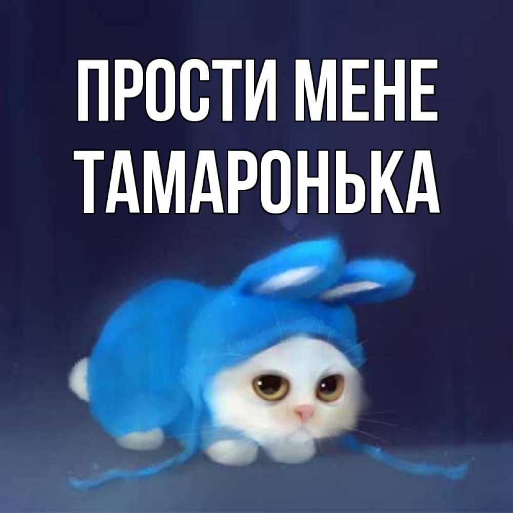 Открытка на каждый день з підписом, Тамаронька Прости мене невинный котозай просит прощения Прикольна листівка з побажанням онлайн скачати безкоштовно 