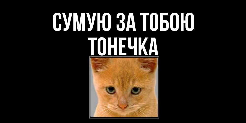 Открытка на каждый день з підписом, Тонечка Сумую за тобою открытки рыжий котенок скучает по тебе Прикольна листівка з побажанням онлайн скачати безкоштовно 