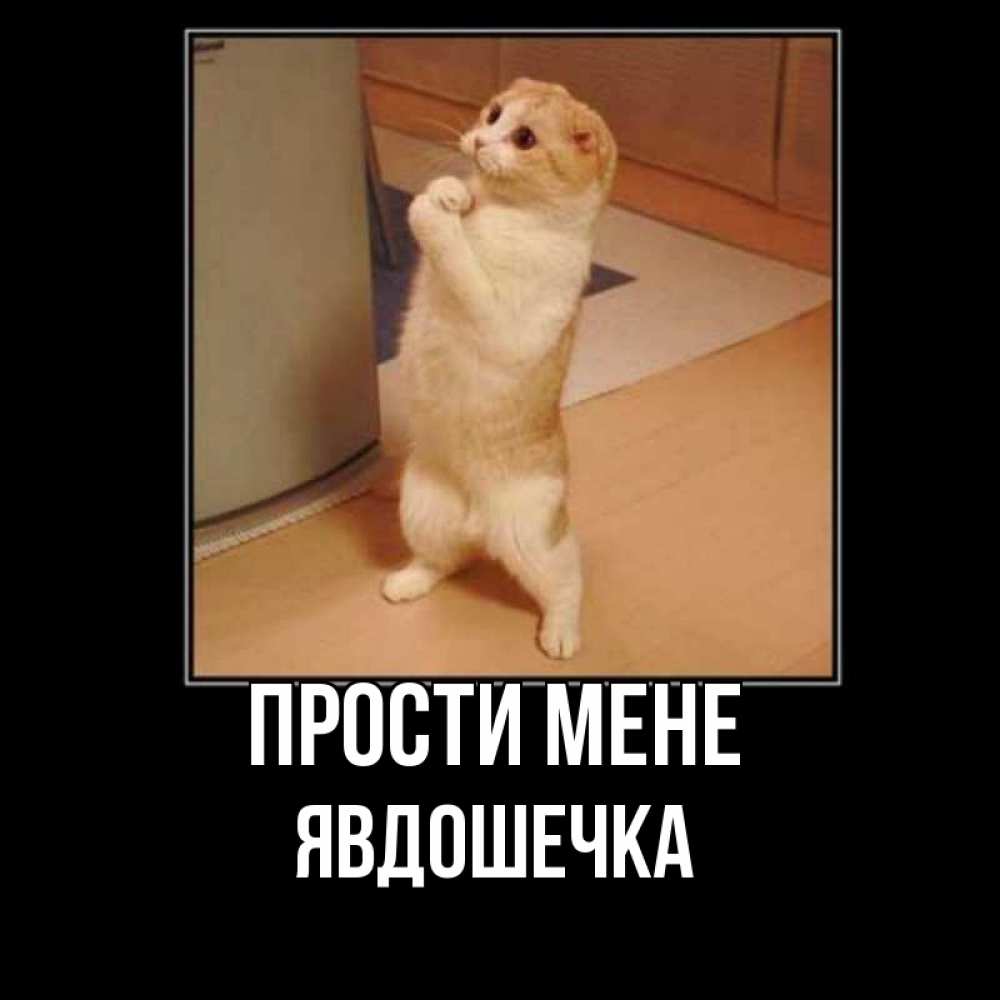 Открытка на каждый день з підписом, Явдошечка Прости мене открытка с милым несчастным котиком просящим прощения Прикольна листівка з побажанням онлайн скачати безкоштовно 