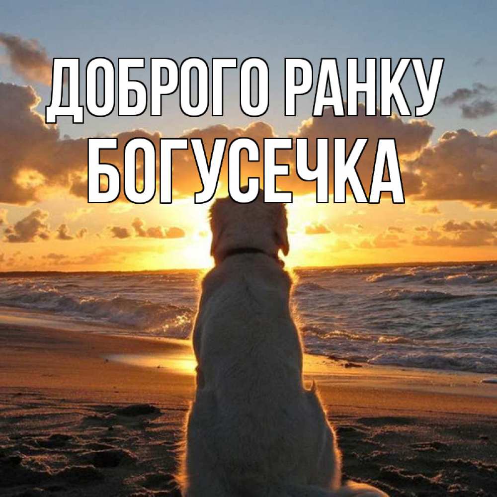 Открытка на каждый день з підписом, Богусечка Доброго ранку восход солнца Прикольна листівка з побажанням онлайн скачати безкоштовно 