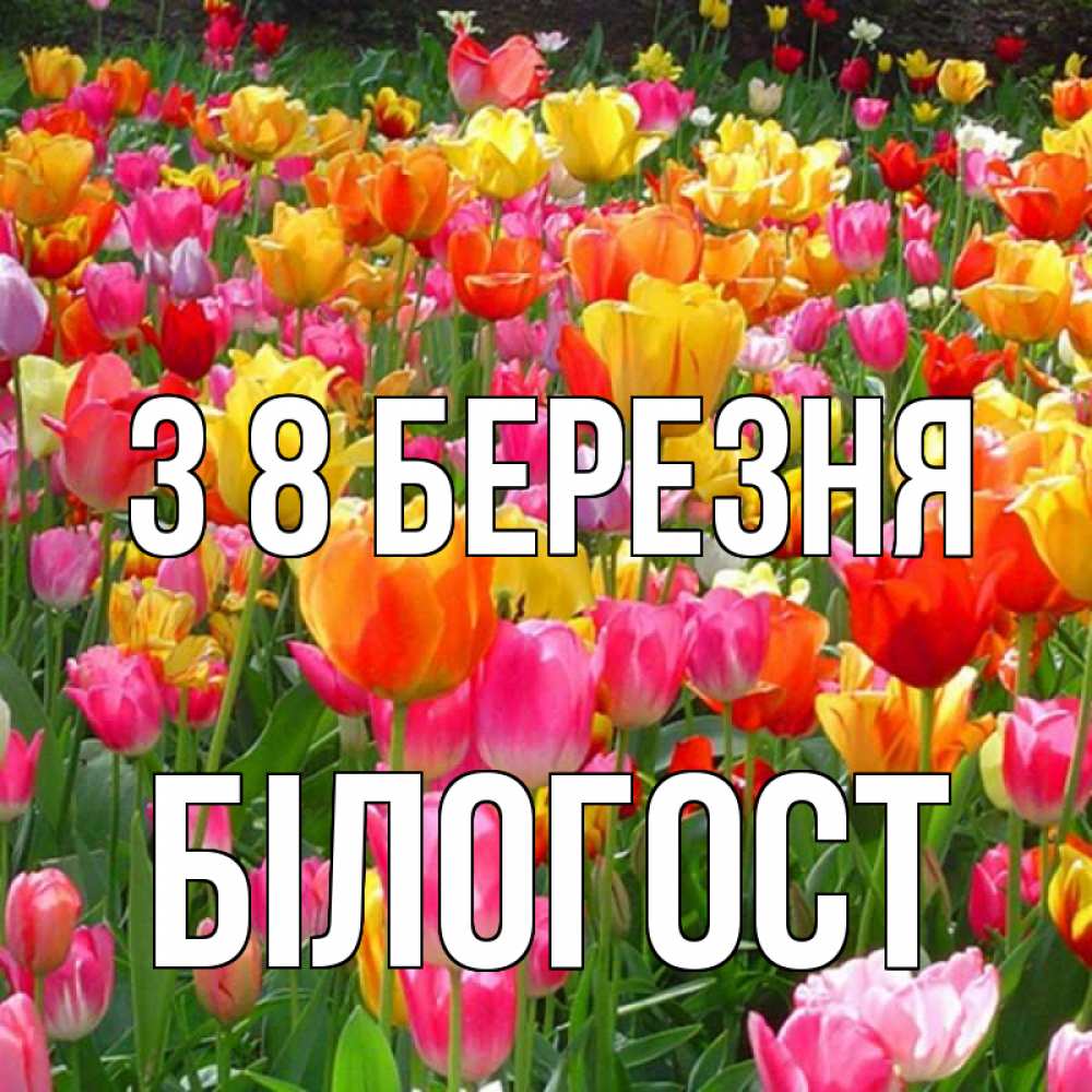Открытка на каждый день з підписом, Білогост З 8 БЕРЕЗНЯ на международный женский день Прикольна листівка з побажанням онлайн скачати безкоштовно 