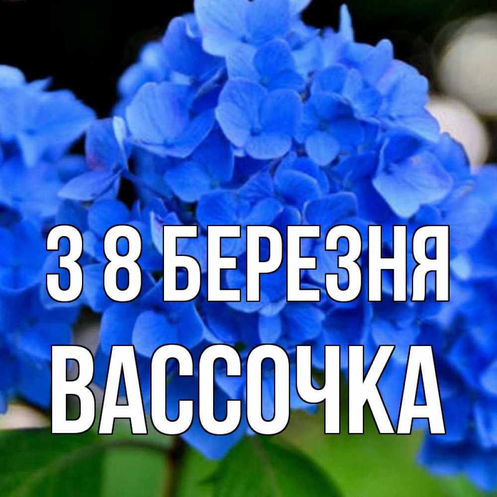 Открытка на каждый день з підписом, Вассочка З 8 БЕРЕЗНЯ синие цветы Прикольна листівка з побажанням онлайн скачати безкоштовно 