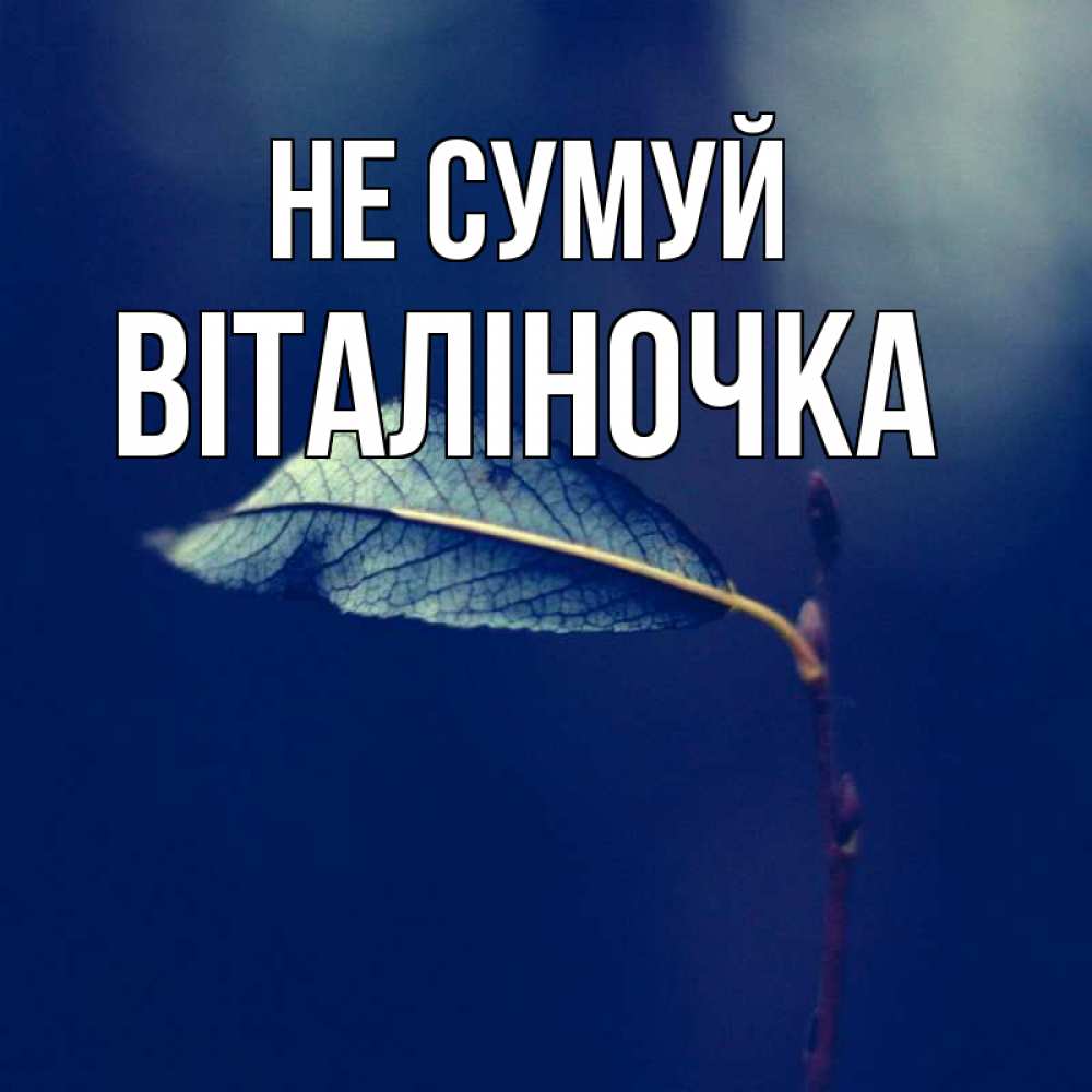Открытка на каждый день з підписом, Віталіночка Не сумуй растение Прикольна листівка з побажанням онлайн скачати безкоштовно 