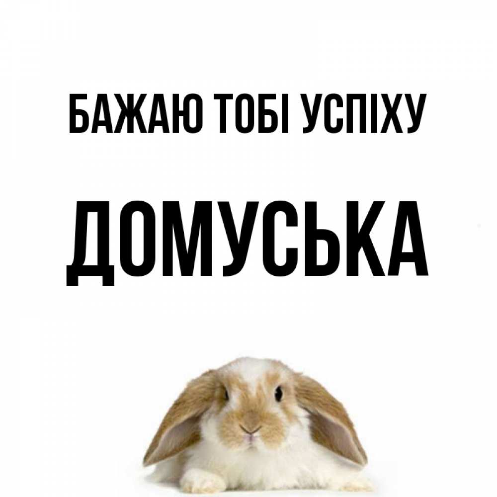 Открытка на каждый день з підписом, Домуська Бажаю тобі успіху открытки с произвольным текстом который можно вставить в открытку и создать ее самостоятельно бесплатно онлайн Прикольна листівка з побажанням онлайн скачати безкоштовно 