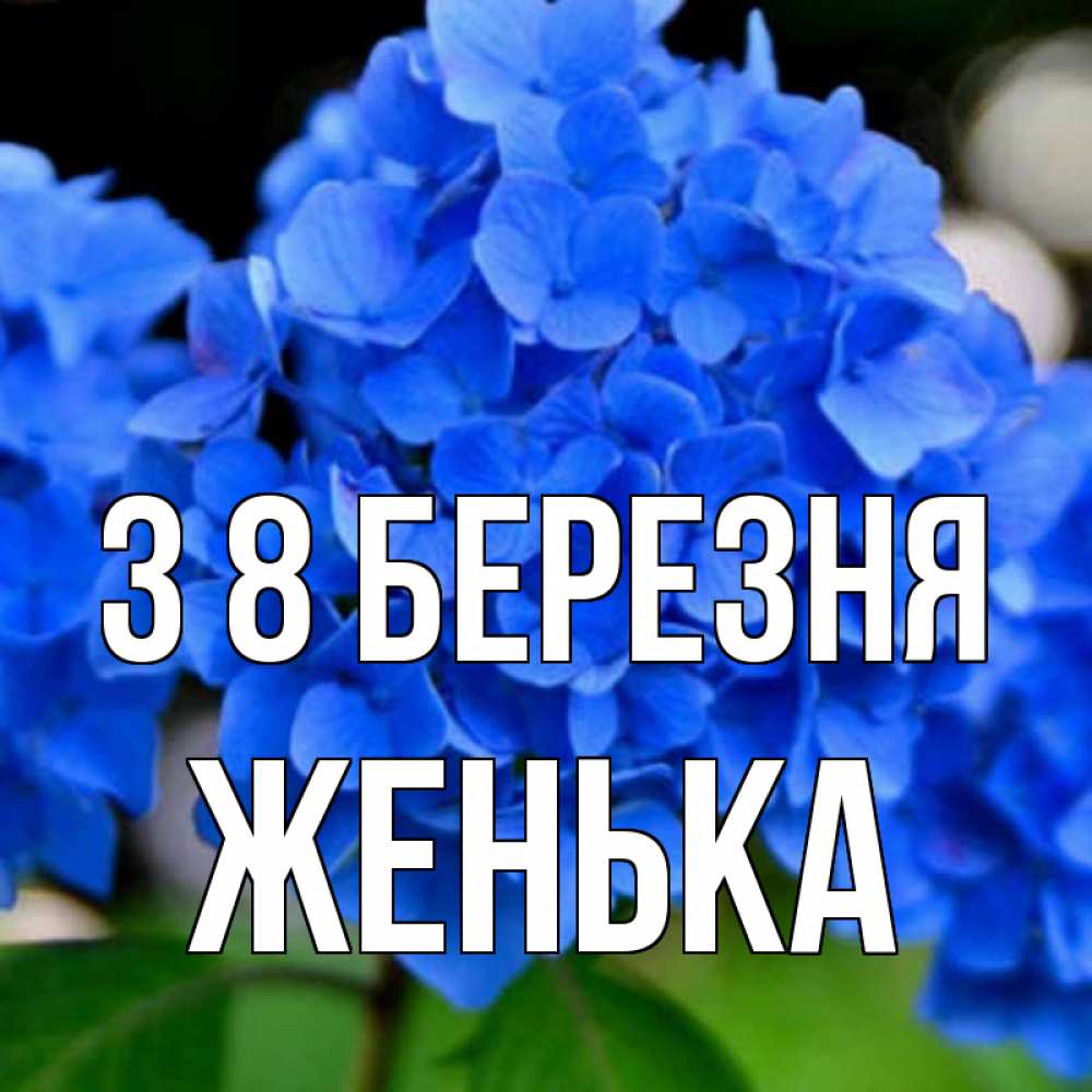 Открытка на каждый день з підписом, Женька З 8 БЕРЕЗНЯ синие цветы Прикольна листівка з побажанням онлайн скачати безкоштовно 