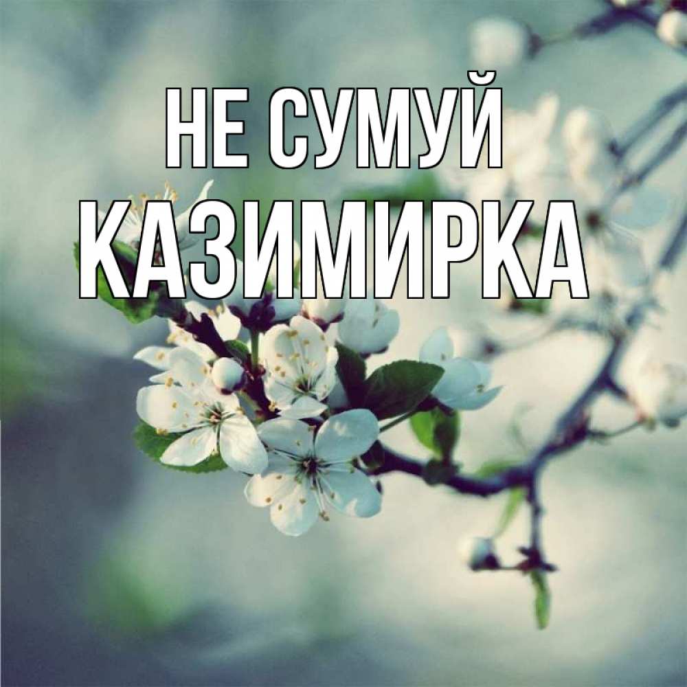 Открытка на каждый день з підписом, Казимирка Не сумуй яблоня в цвету 1 Прикольна листівка з побажанням онлайн скачати безкоштовно 