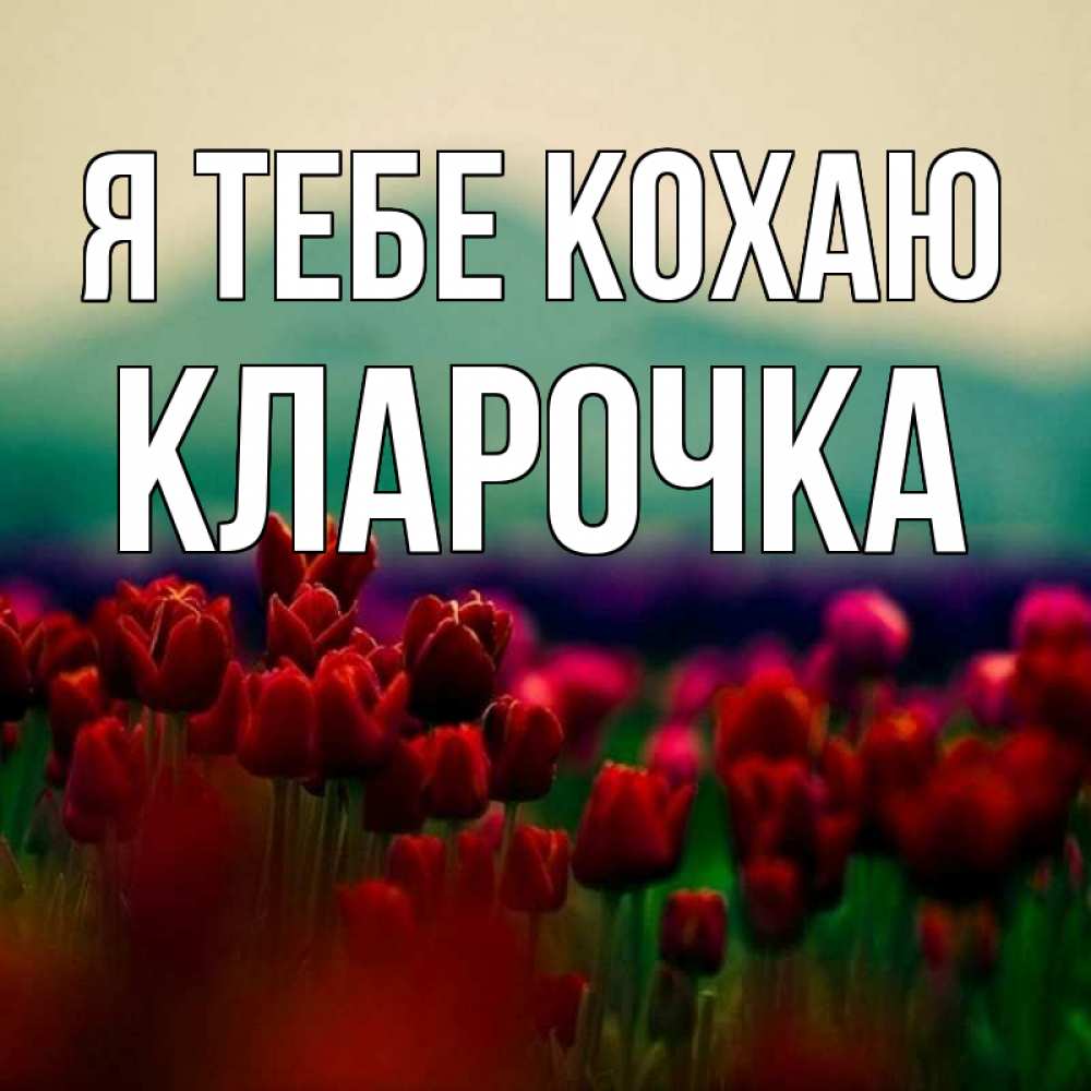 Открытка на каждый день з підписом, Кларочка Я тебе кохаю тюльпаны 4 Прикольна листівка з побажанням онлайн скачати безкоштовно 