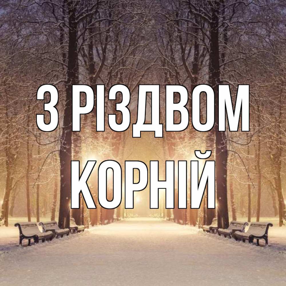Открытка на каждый день з підписом, Корній З Різдвом зима, парк, фонарь, лес Прикольна листівка з побажанням онлайн скачати безкоштовно 