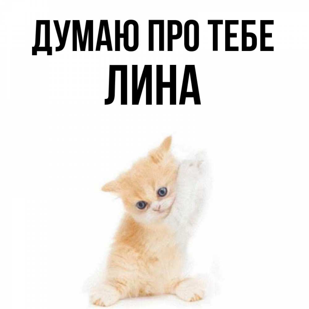 Открытка на каждый день з підписом, Лина Думаю про тебе зверушки и милота Прикольна листівка з побажанням онлайн скачати безкоштовно 