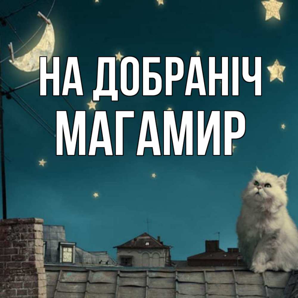Открытка на каждый день з підписом, Магамир На добраніч белый кот сидит на крыше Прикольна листівка з побажанням онлайн скачати безкоштовно 