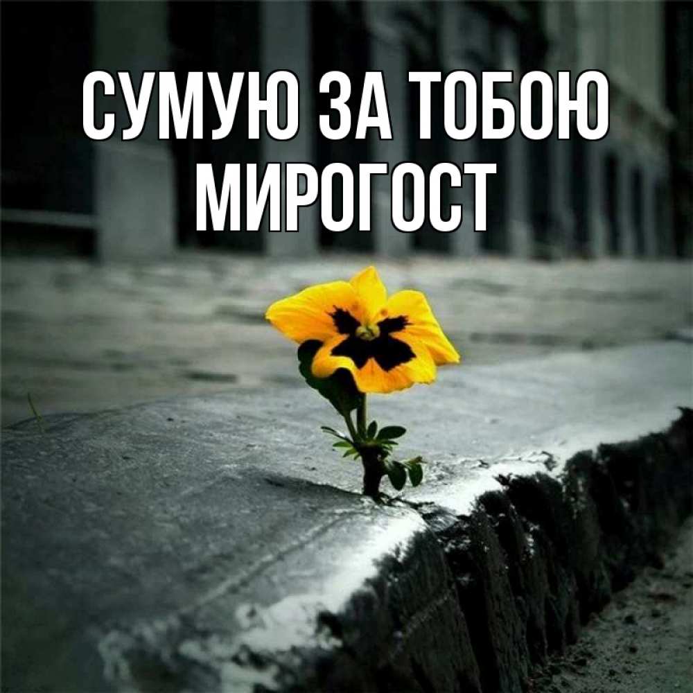 Открытка на каждый день з підписом, Мирогост Сумую за тобою надеюсь будет лучше Прикольна листівка з побажанням онлайн скачати безкоштовно 