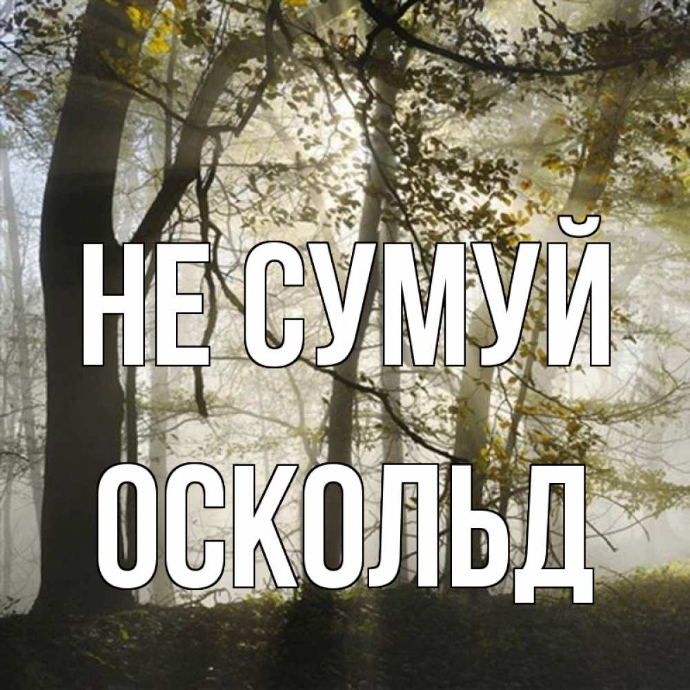 Открытка на каждый день з підписом, Оскольд Не сумуй лес и свет Прикольна листівка з побажанням онлайн скачати безкоштовно 