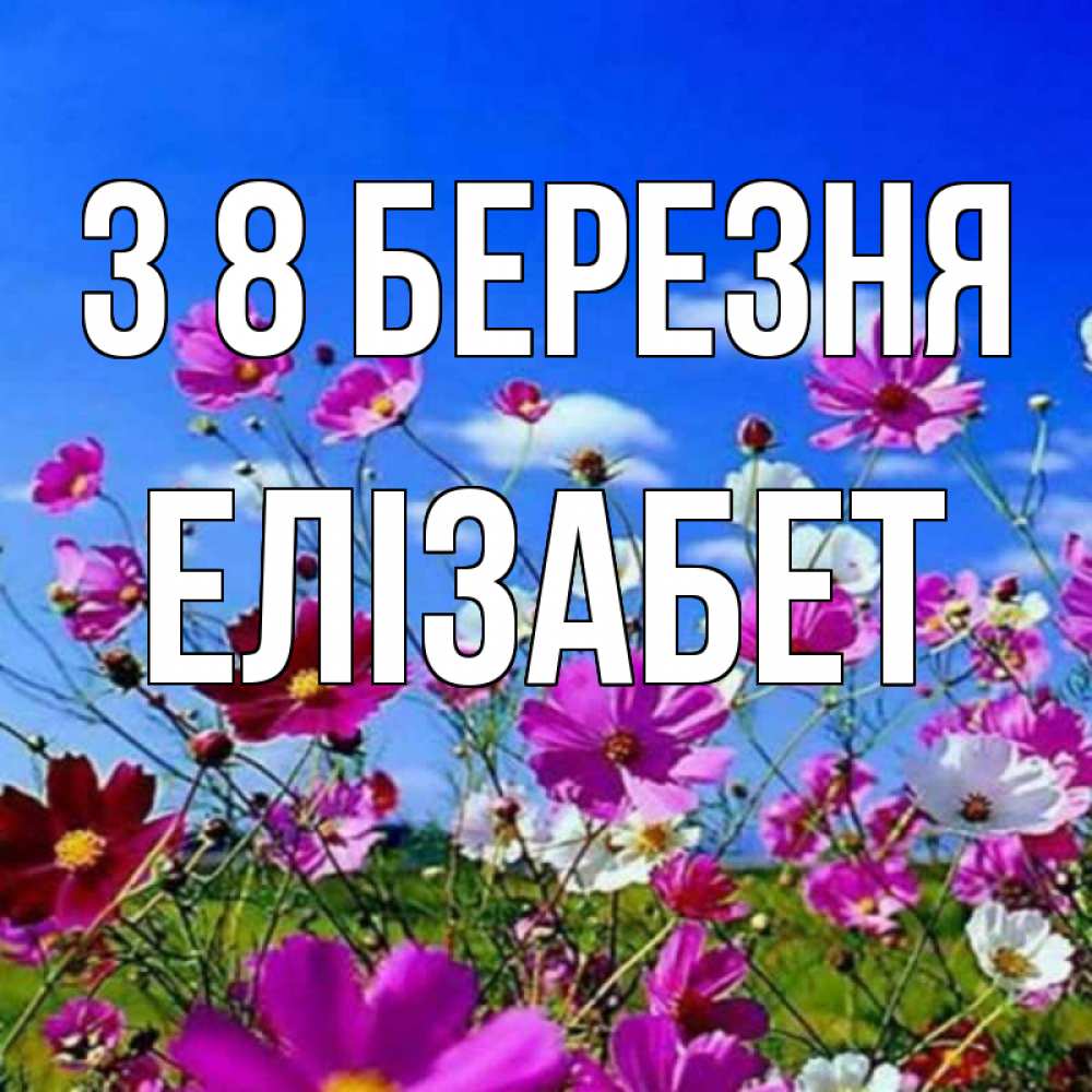 Открытка на каждый день з підписом, Елізабет З 8 БЕРЕЗНЯ цветы Прикольна листівка з побажанням онлайн скачати безкоштовно 