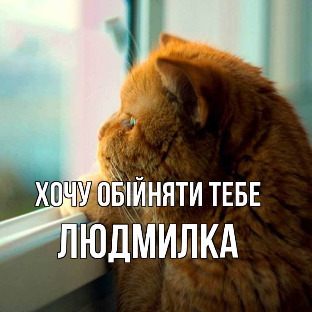 Открытка на каждый день з підписом, Людмилка Хочу обійняти тебе большой огромный рыжий котяра Прикольна листівка з побажанням онлайн скачати безкоштовно 