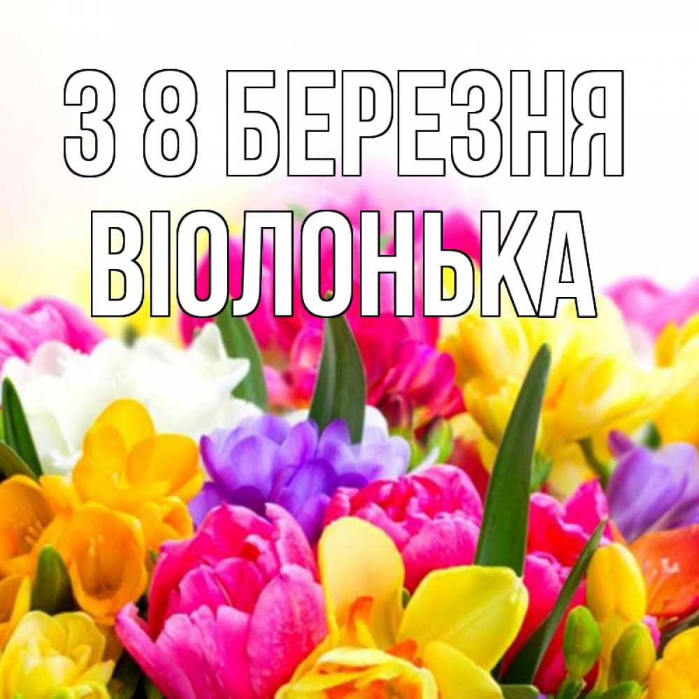 Открытка на каждый день з підписом, Віолонька З 8 БЕРЕЗНЯ тюльпаны Прикольна листівка з побажанням онлайн скачати безкоштовно 