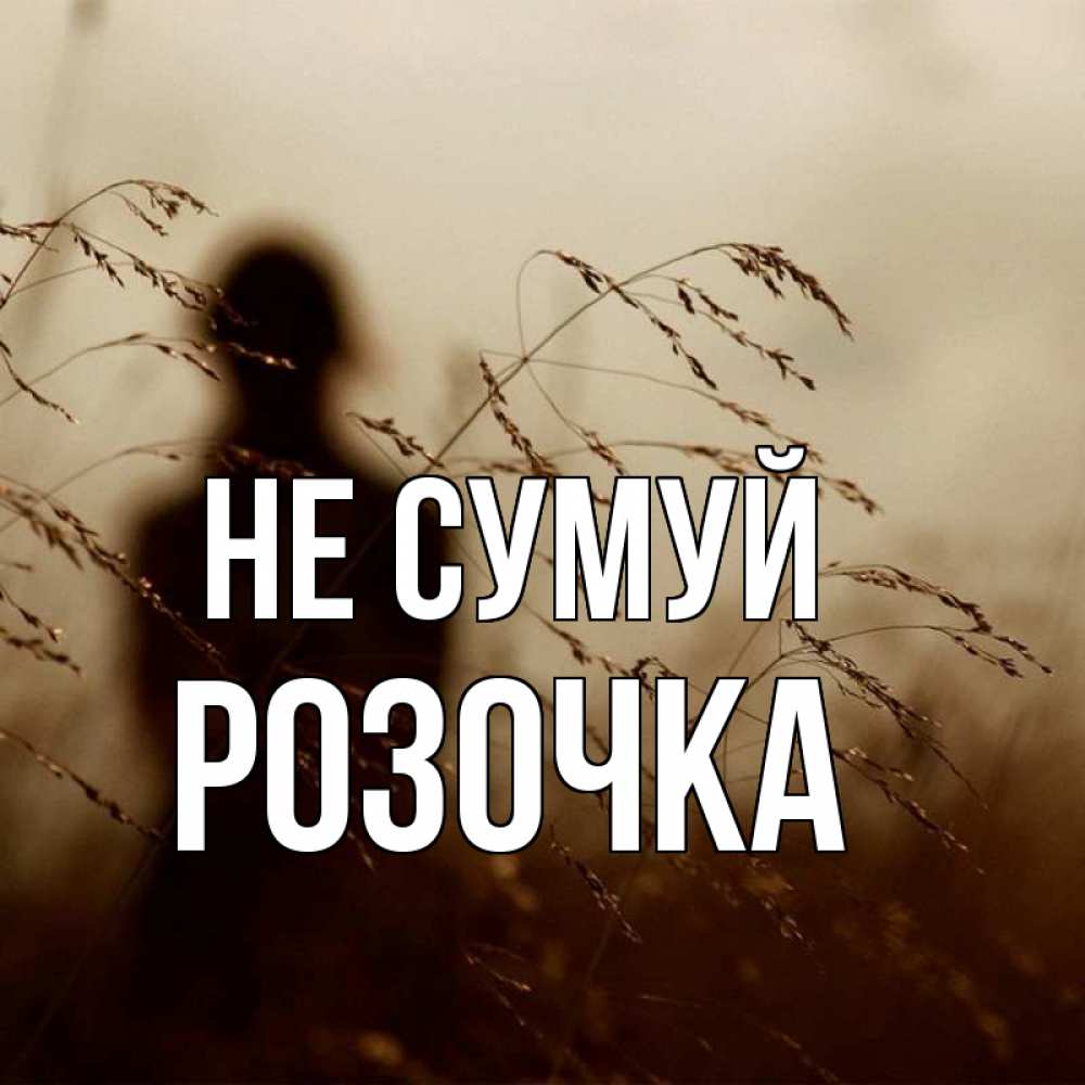 Открытка на каждый день з підписом, Розочка Не сумуй грусть Прикольна листівка з побажанням онлайн скачати безкоштовно 