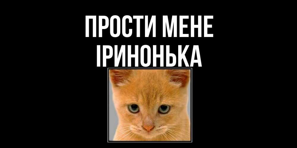 Открытка на каждый день з підписом, Іринонька Прости мене рыжий грустный кот просит прощения Прикольна листівка з побажанням онлайн скачати безкоштовно 