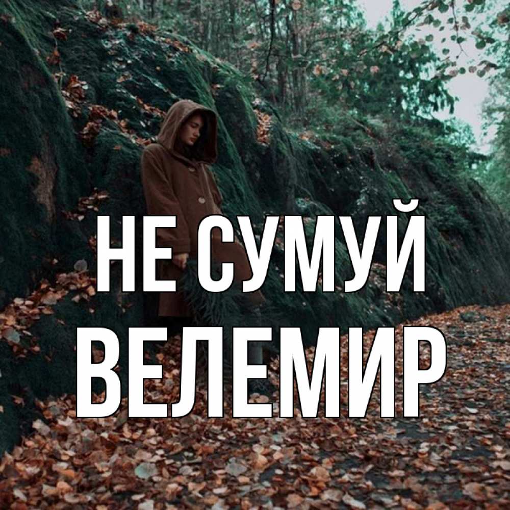 Открытка на каждый день з підписом, Велемир Не сумуй осенний лес Прикольна листівка з побажанням онлайн скачати безкоштовно 