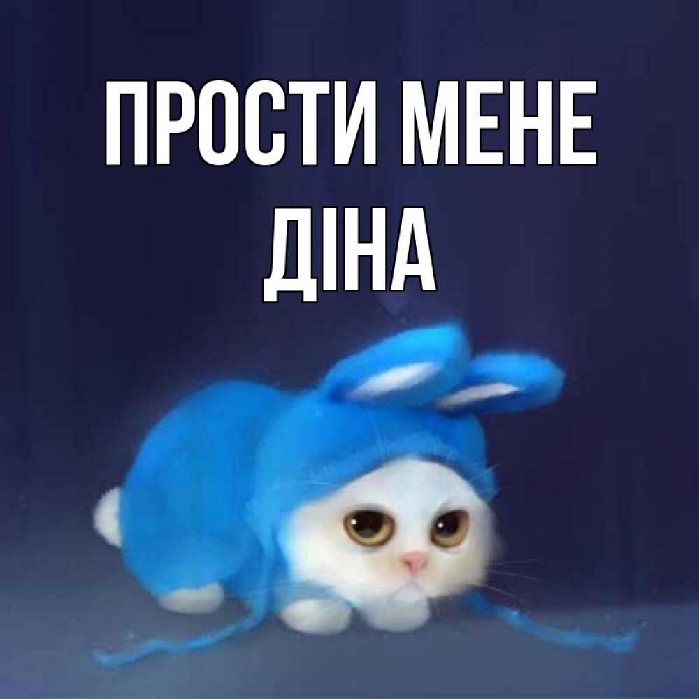 Открытка на каждый день з підписом, Діна Прости мене невинный котозай просит прощения Прикольна листівка з побажанням онлайн скачати безкоштовно 