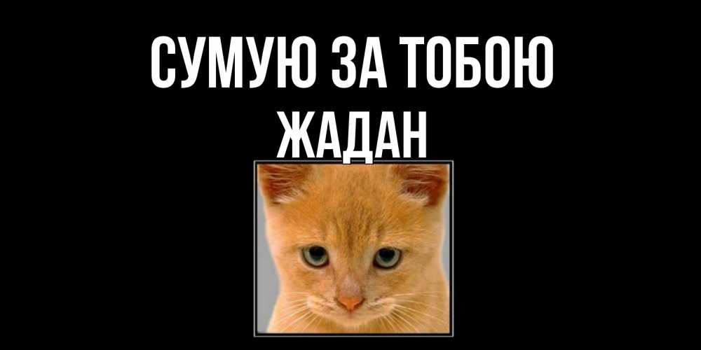 Открытка на каждый день з підписом, Жадан Сумую за тобою открытки рыжий котенок скучает по тебе Прикольна листівка з побажанням онлайн скачати безкоштовно 