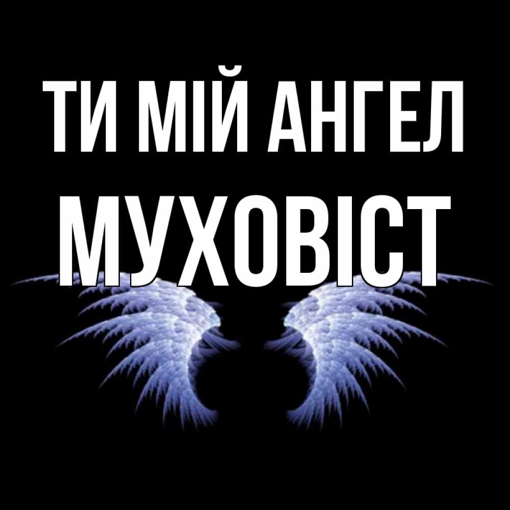Открытка на каждый день з підписом, Муховіст Ти мій ангел ангельские крылья на черном фоне Прикольна листівка з побажанням онлайн скачати безкоштовно 
