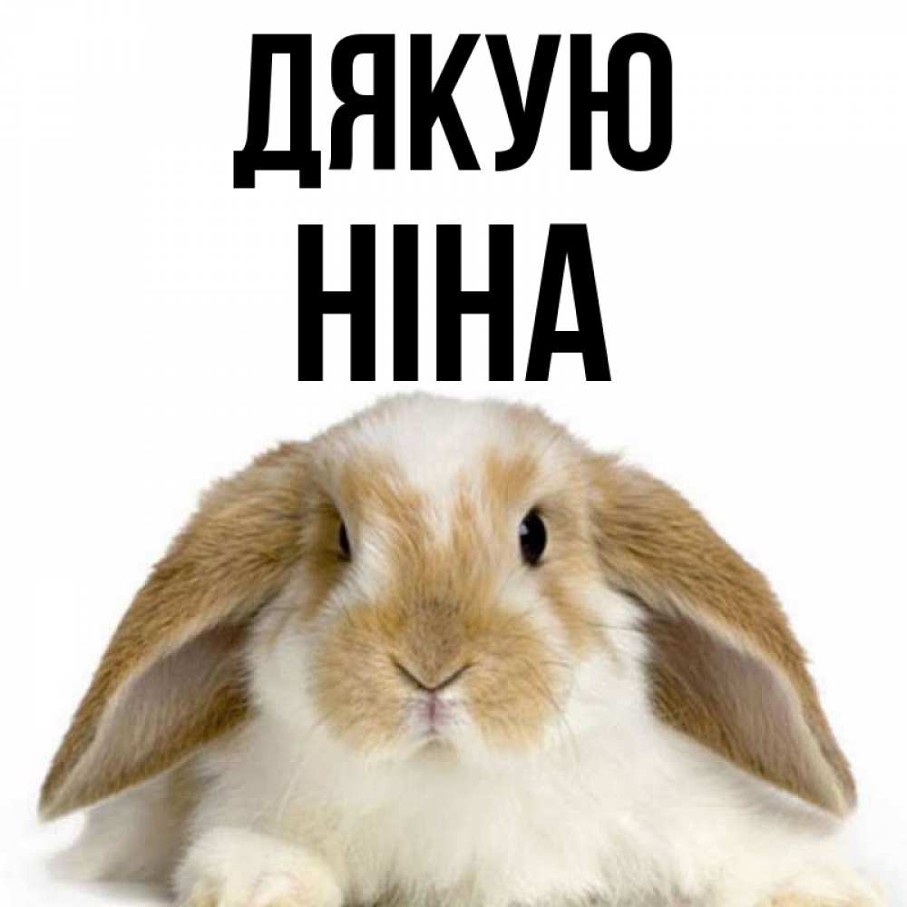 Открытка на каждый день з підписом, Ніна Дякую коричнево белый заяц Прикольна листівка з побажанням онлайн скачати безкоштовно 