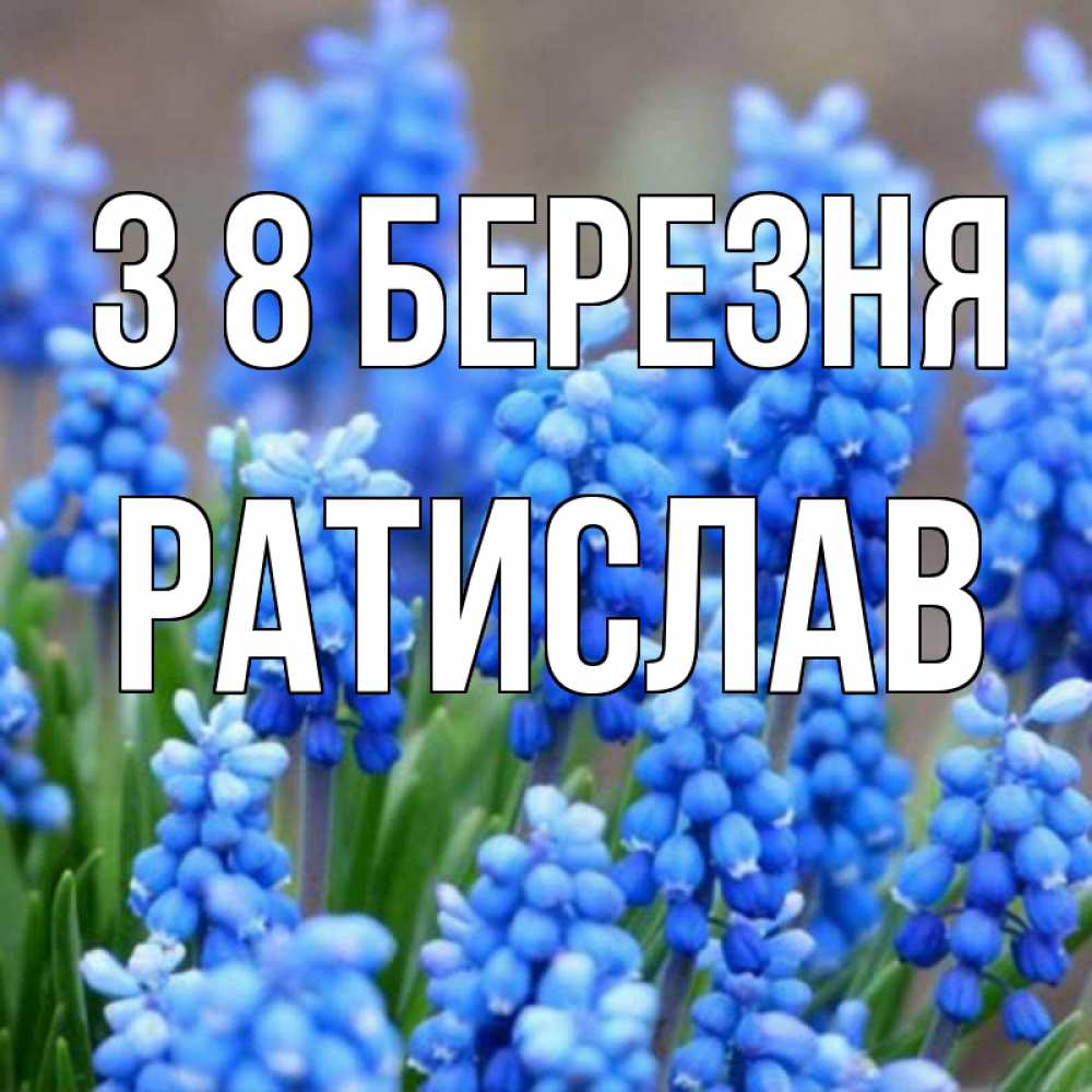 Открытка на каждый день з підписом, Ратислав З 8 БЕРЕЗНЯ Поздравительная открытка для женщин с цветами на праздничную дату Прикольна листівка з побажанням онлайн скачати безкоштовно 