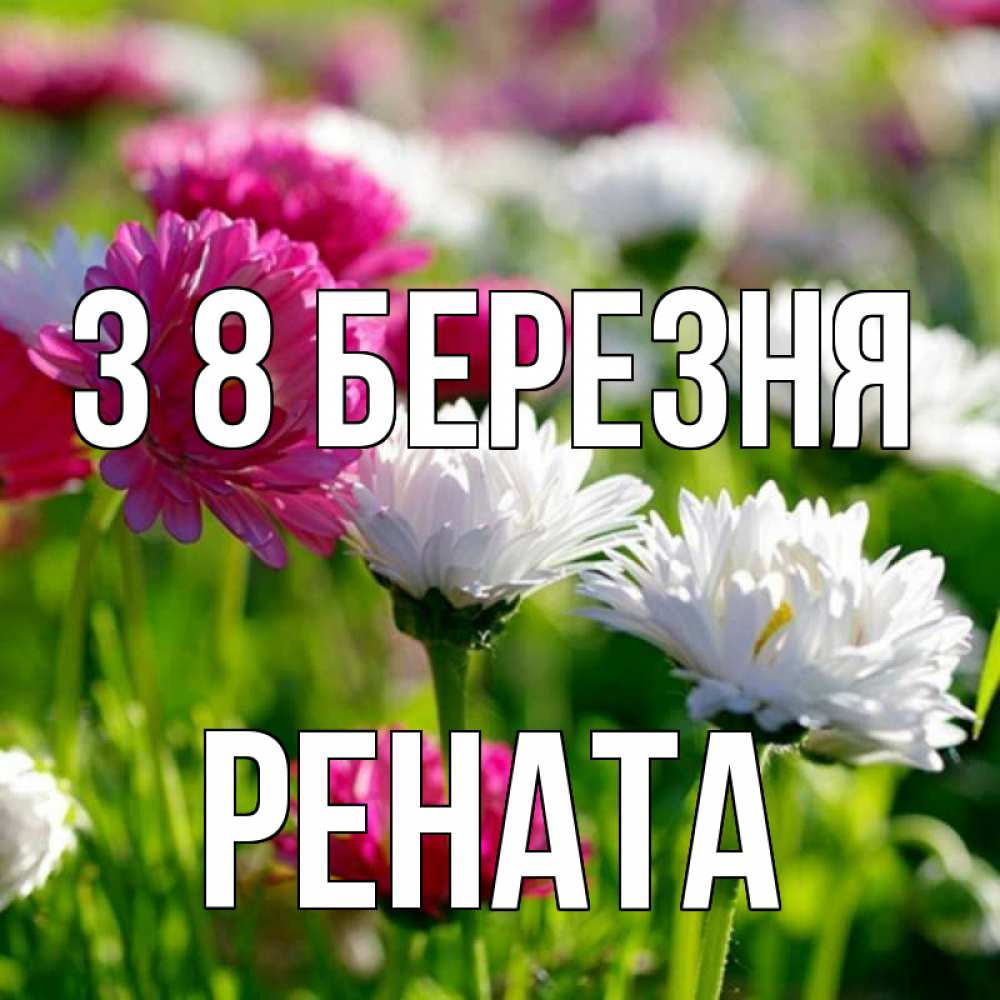 Открытка на каждый день з підписом, Рената З 8 БЕРЕЗНЯ международный женский день 1 Прикольна листівка з побажанням онлайн скачати безкоштовно 