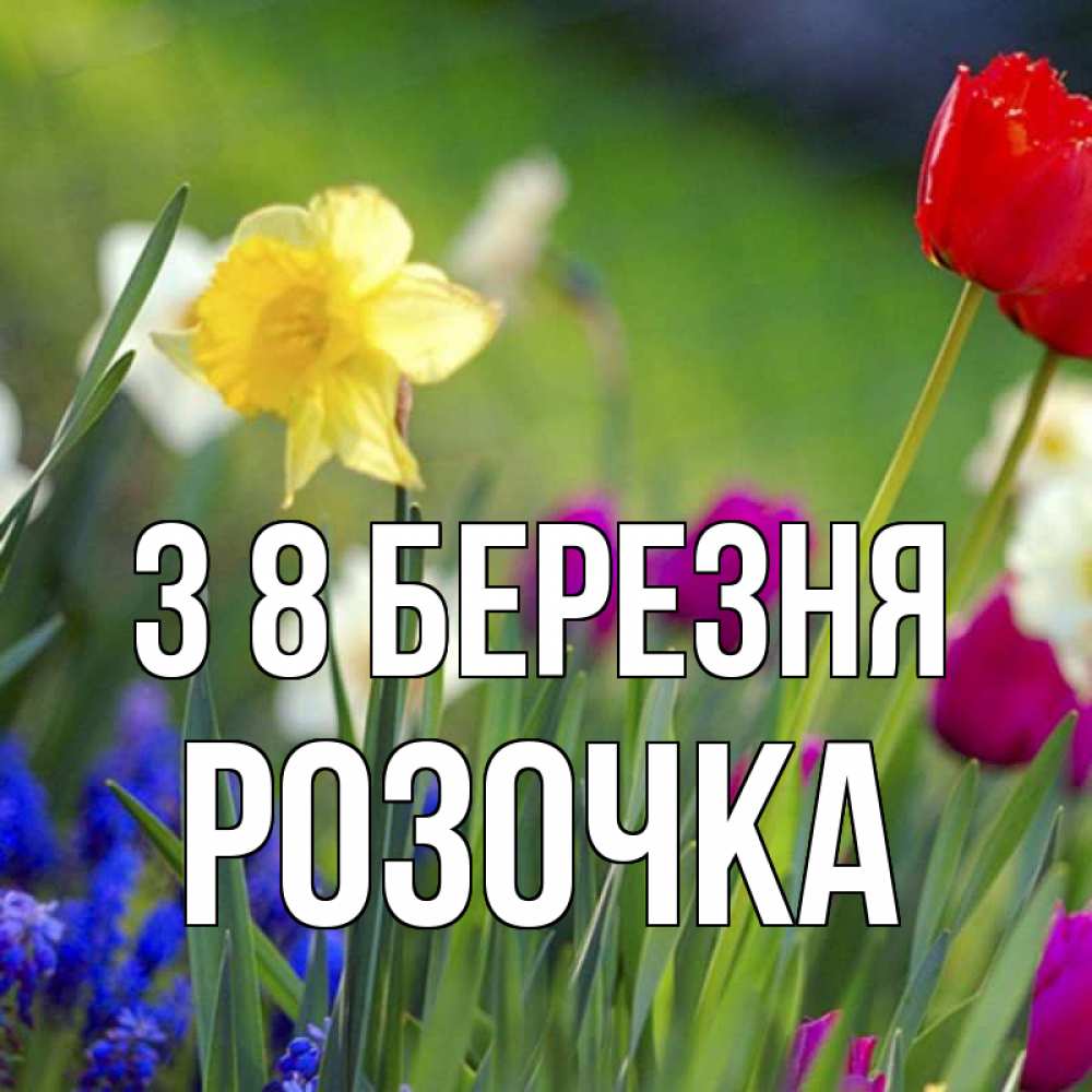 Открытка на каждый день з підписом, Розочка З 8 БЕРЕЗНЯ международный женский день 3 Прикольна листівка з побажанням онлайн скачати безкоштовно 