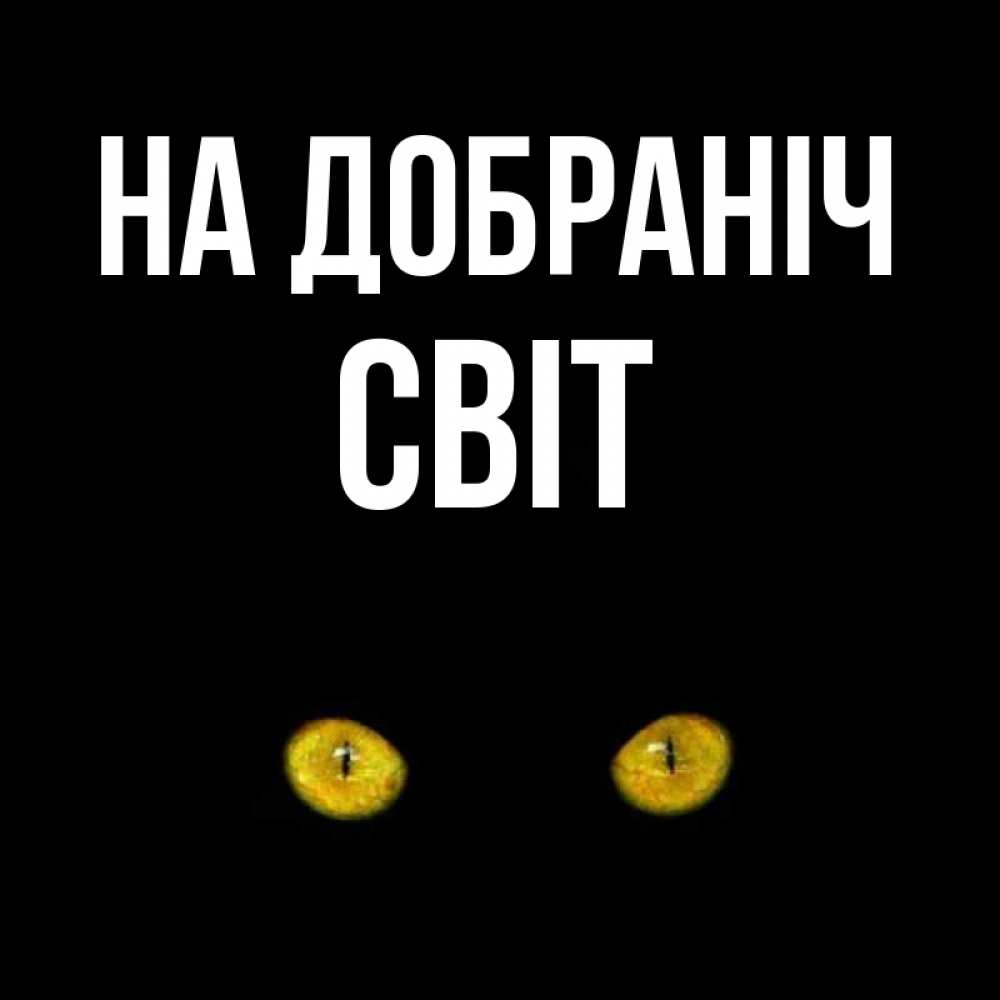 Открытка на каждый день з підписом, Світ На добраніч сладких снов бесстрашный мой дружочек Прикольна листівка з побажанням онлайн скачати безкоштовно 