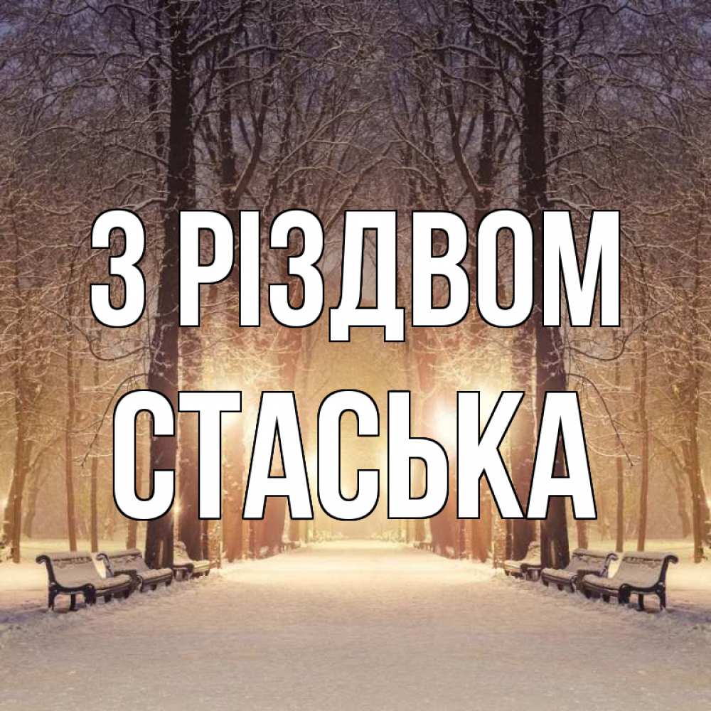 Открытка на каждый день з підписом, Стаська З Різдвом зима, парк, фонарь, лес Прикольна листівка з побажанням онлайн скачати безкоштовно 