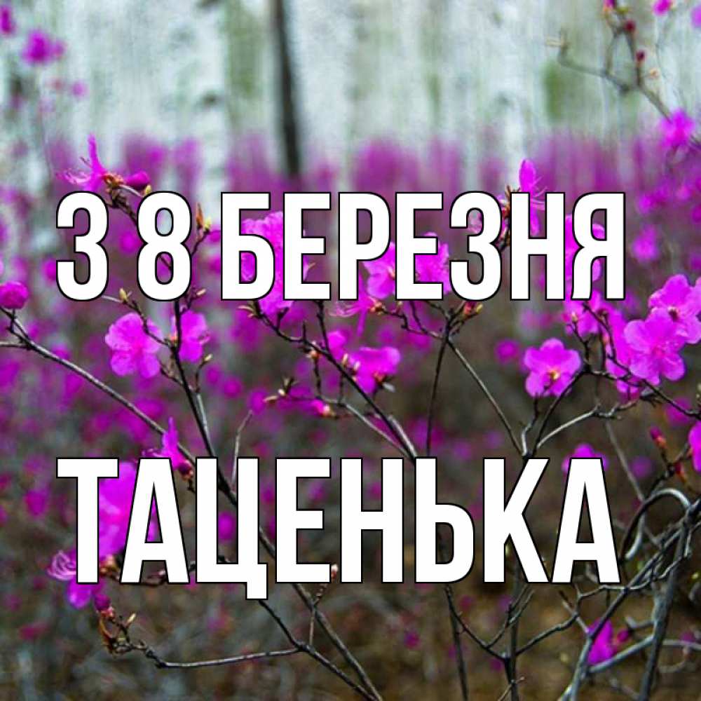Открытка на каждый день з підписом, Таценька З 8 БЕРЕЗНЯ дикие цветы Прикольна листівка з побажанням онлайн скачати безкоштовно 