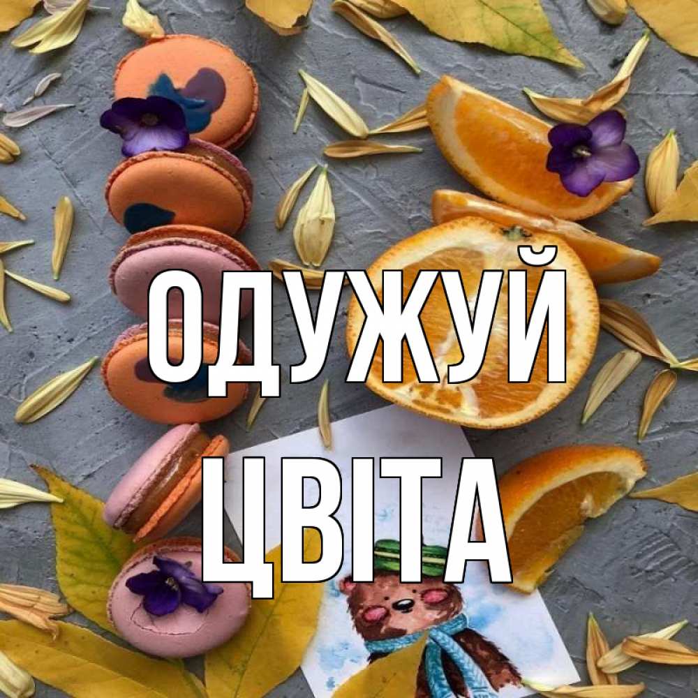 Открытка на каждый день з підписом, Цвіта Одужуй не болейте Прикольна листівка з побажанням онлайн скачати безкоштовно 