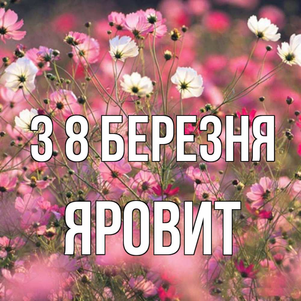 Открытка на каждый день з підписом, Яровит З 8 БЕРЕЗНЯ красиво 1 Прикольна листівка з побажанням онлайн скачати безкоштовно 