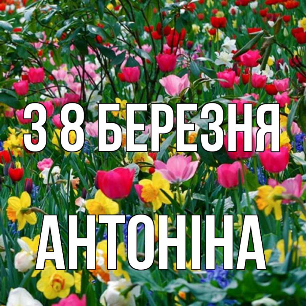 Открытка на каждый день з підписом, Антоніна З 8 БЕРЕЗНЯ с международным женским днем поздравления для женщины Прикольна листівка з побажанням онлайн скачати безкоштовно 